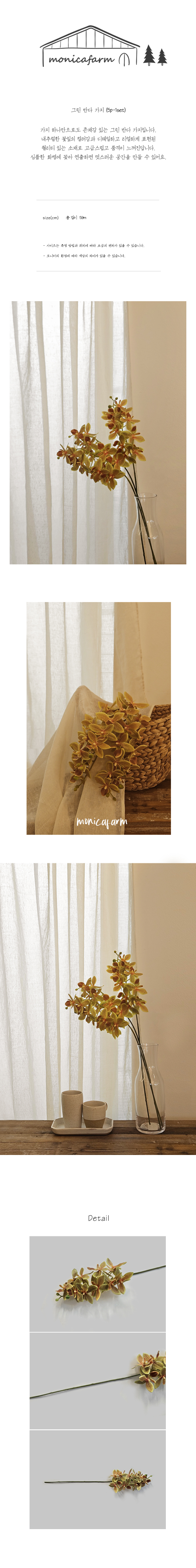 그린 반다 가지 (5p-1set) 상세 이미지 1